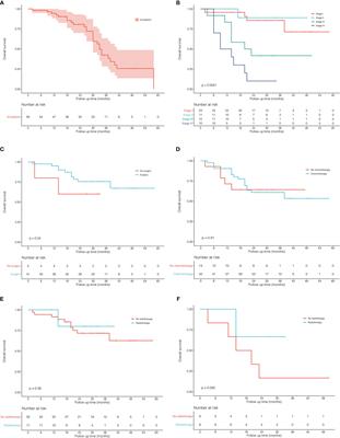 A Population-Based Systematic Clinical Analysis With a Single-Center Case Series of Patients With Pulmonary Large Cell Neuroendocrine Carcinoma